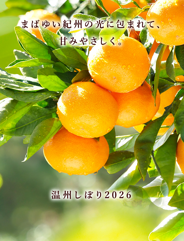 カゴメの通販】カゴメ健康直送便