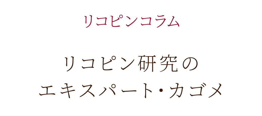 リコピン研究