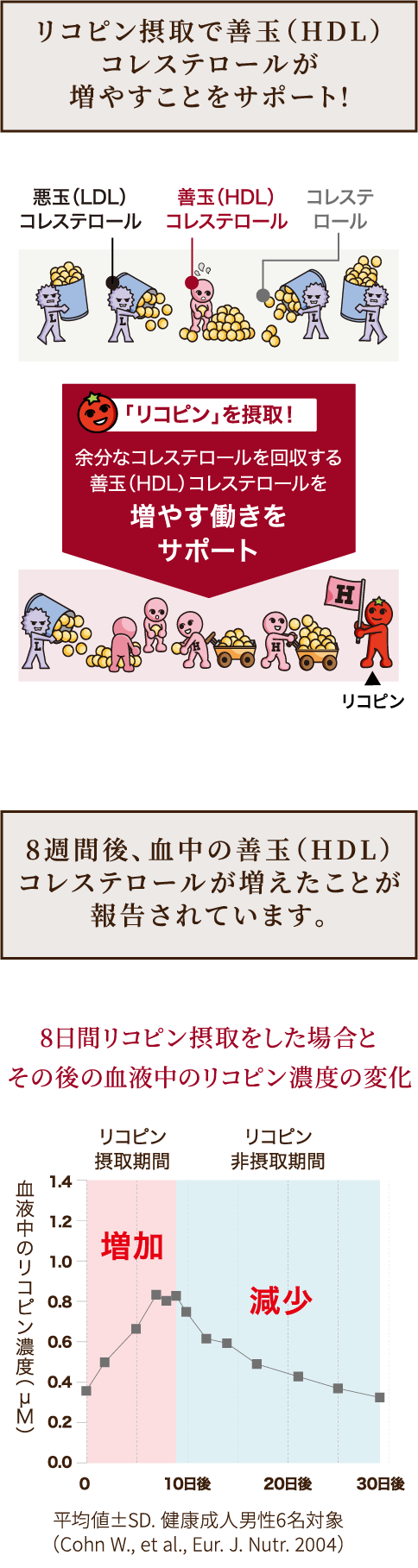 善玉（HDL）と悪玉（LDL）コレステロールの役割