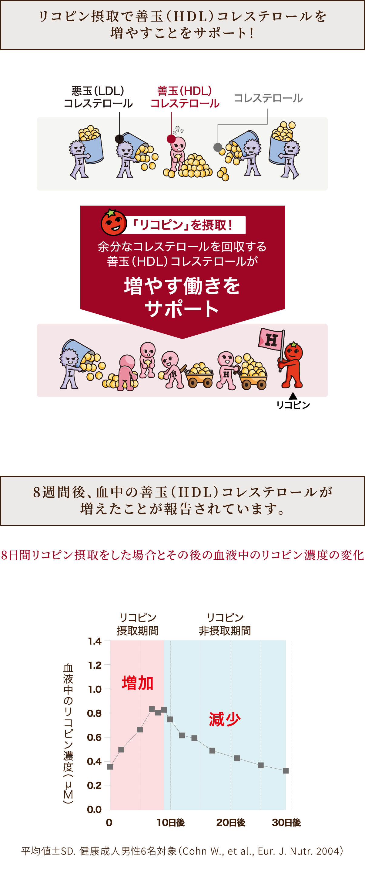 善玉（HDL）と悪玉（LDL）コレステロールの役割