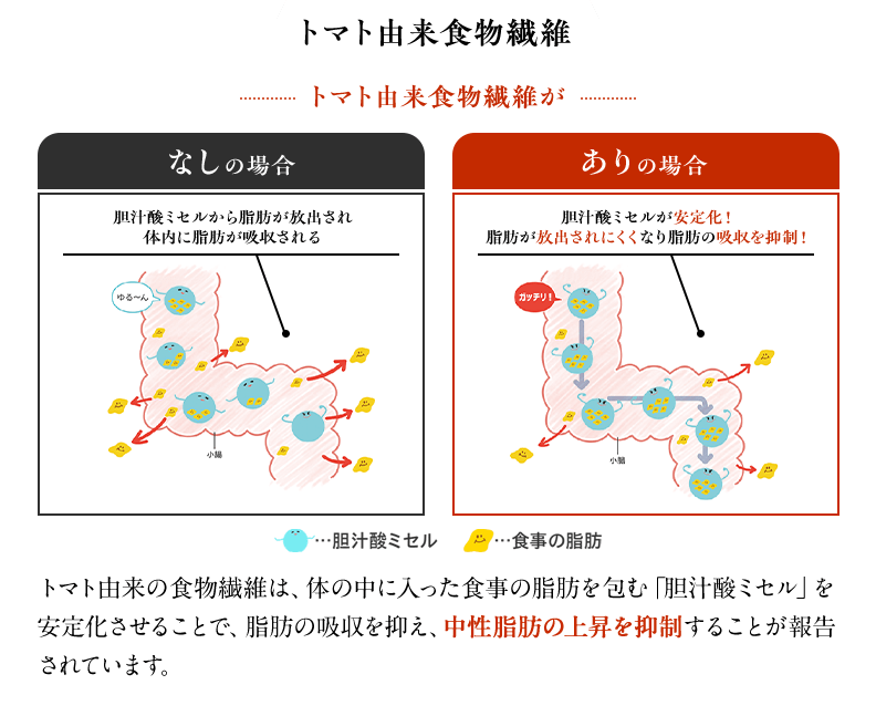 トマト由来食物繊維 トマト由来の食物繊維は、体の中に入った食事の脂肪を包む「胆汁酸ミセル」を安定化させることで、脂肪の吸収を抑え、中性脂肪の上昇を抑制することが報告されています。