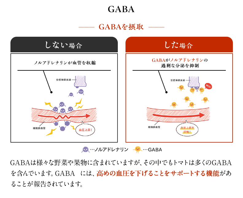 GABA GABAは様々な野菜や果物に含まれていますが、その中でもトマトは多くのGABAを含んでいます。GABA には、高めの血圧を下げることをサポートする機能があることが報告されています。