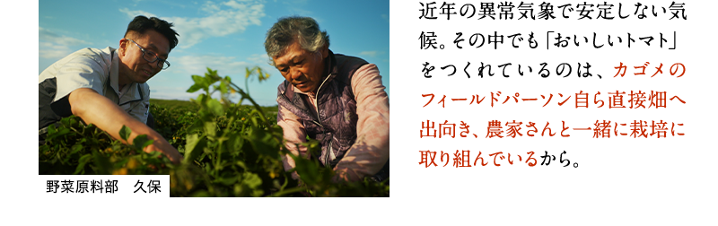 近年の異常気象で安定しない気候。その中でも「おいしいトマト」をつくれているのは、カゴメのフィールドパーソン自ら直接畑へ出向き、農家さんと一緒に栽培に取り組んでいるから。