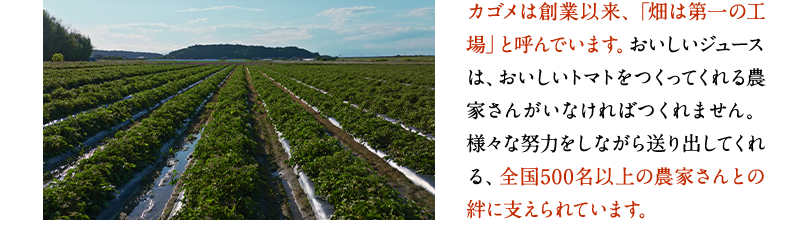 カゴメは創業以来、「畑は第一の工場」と呼んでいます。おいしいジュースは、おいしいトマトをつくってくれる農家さんがいなければつくれません。様々な努力をしながら送り出してくれる、全国500名以上の農家さんとの絆に支えられています。