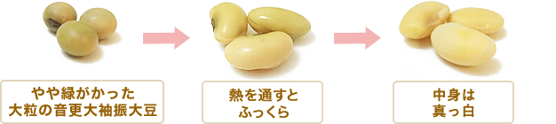 一般的な豆乳の製法