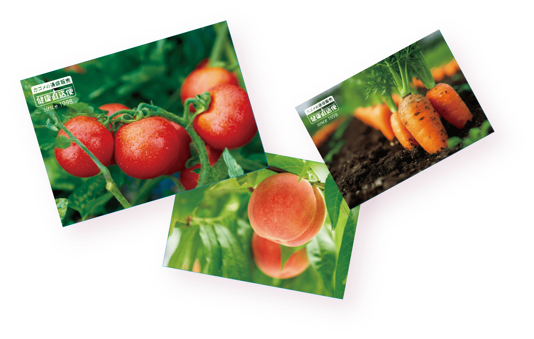 旬のポストカード