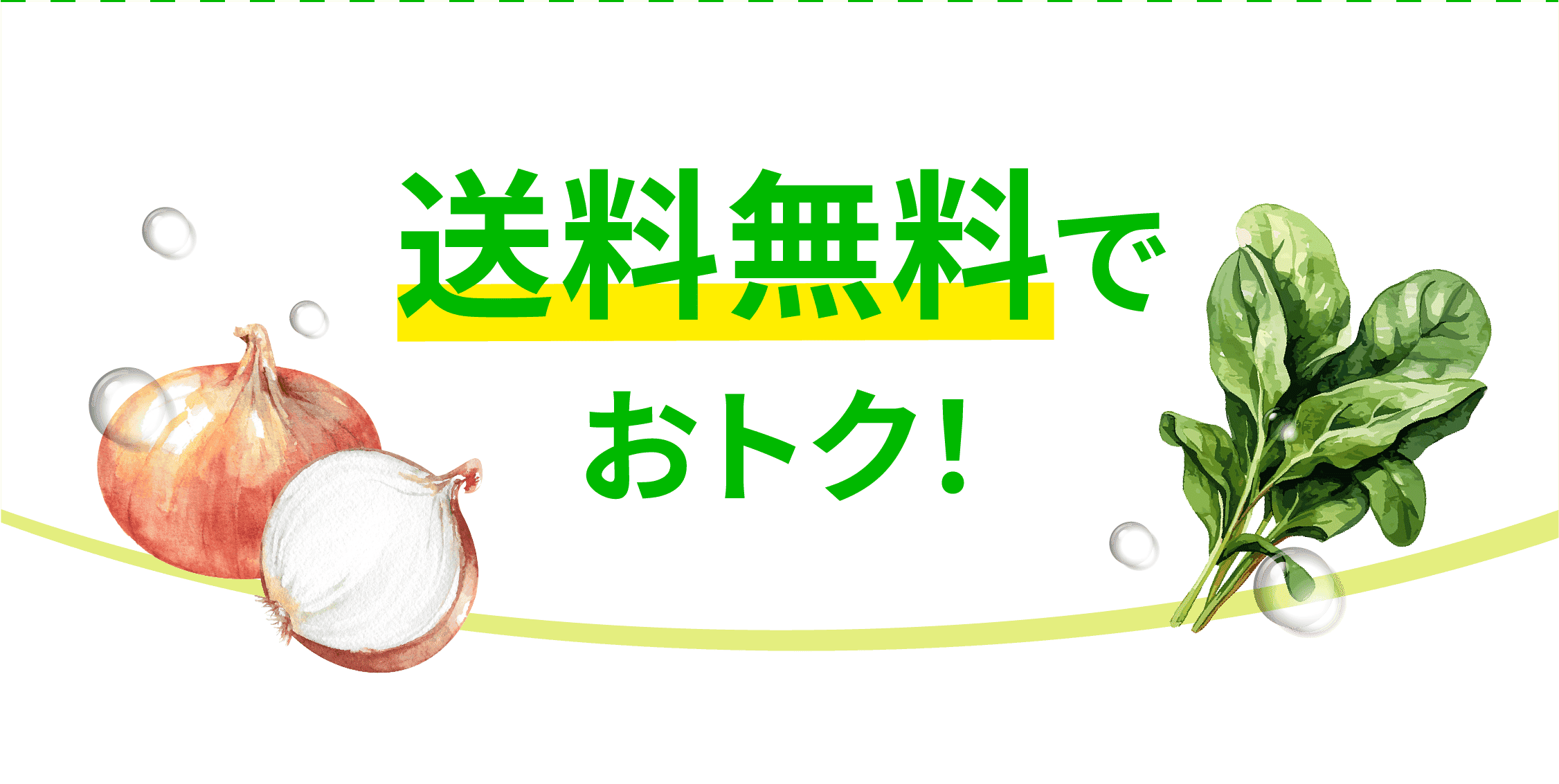 送料無料でおトク！