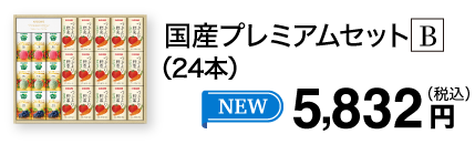 国産プレミアムセット B（24本）
