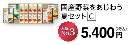 国産野菜をあじわう夏セット C