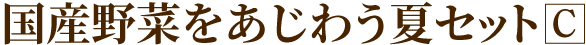 国産野菜をあじわう夏セットC