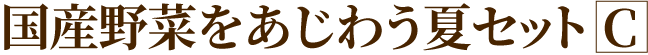 国産野菜をあじわう夏セットC