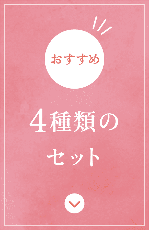 4種類のセット