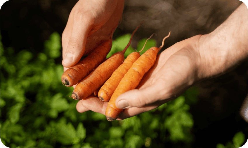 品質管理に徹底的にこだわる安心・安全な商品