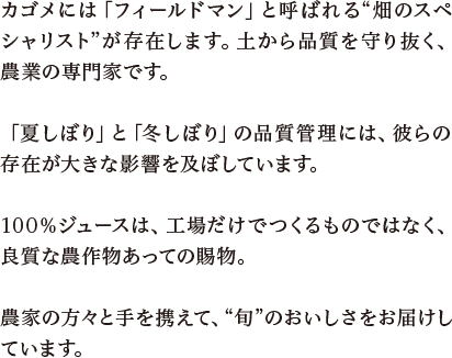 カゴメには「フィールドマン」と呼ばれる畑のスペシャリストが存在します。