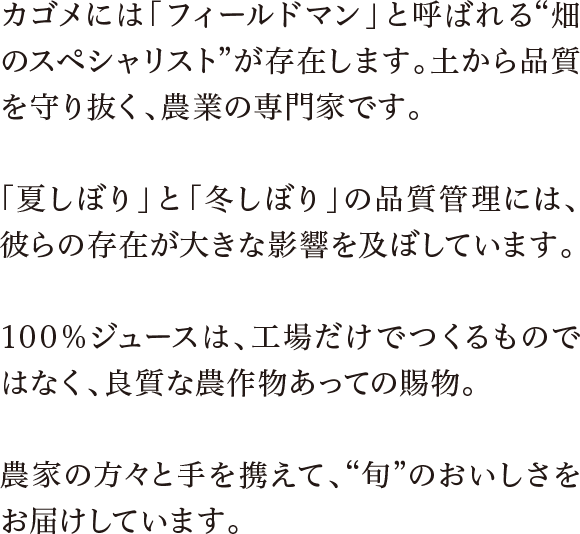 カゴメには「フィールドマン」と呼ばれる畑のスペシャリストが存在します。