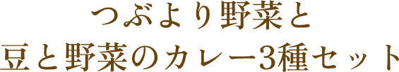 つぶより野菜と豆と野菜のカレー3種セット