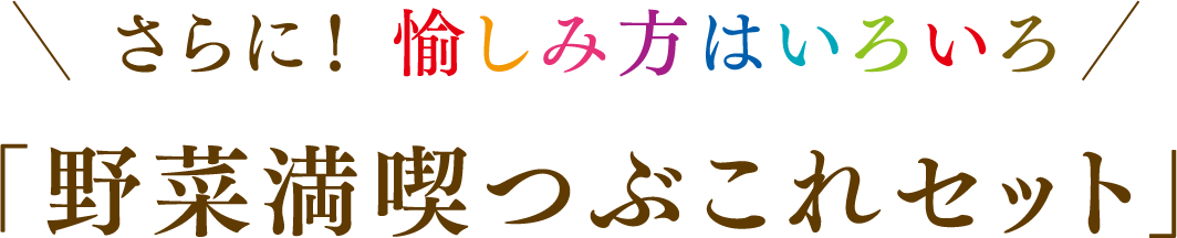 さらに！ 愉しみ方はいろいろ「野菜満喫つぶこれセット」