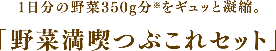 1日分の野菜350g分※をギュッと凝縮。「野菜満喫つぶこれセット」