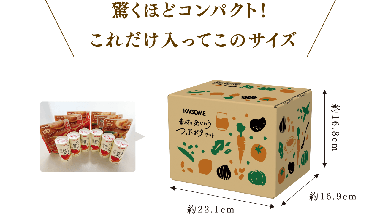 驚くほどコンパクト！ これだけ入ってこのサイズ