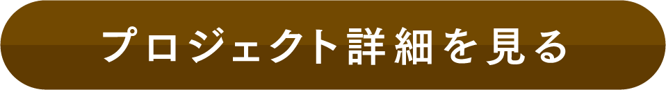 プロジェクト詳細を見る