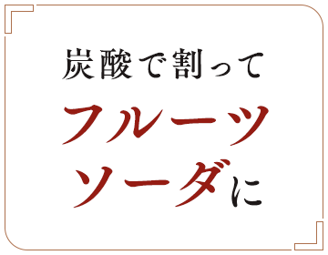 炭酸で割ってフルーツソーダに