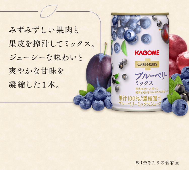 ブルーベリーミックス
