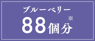 ブルーベリー88個分