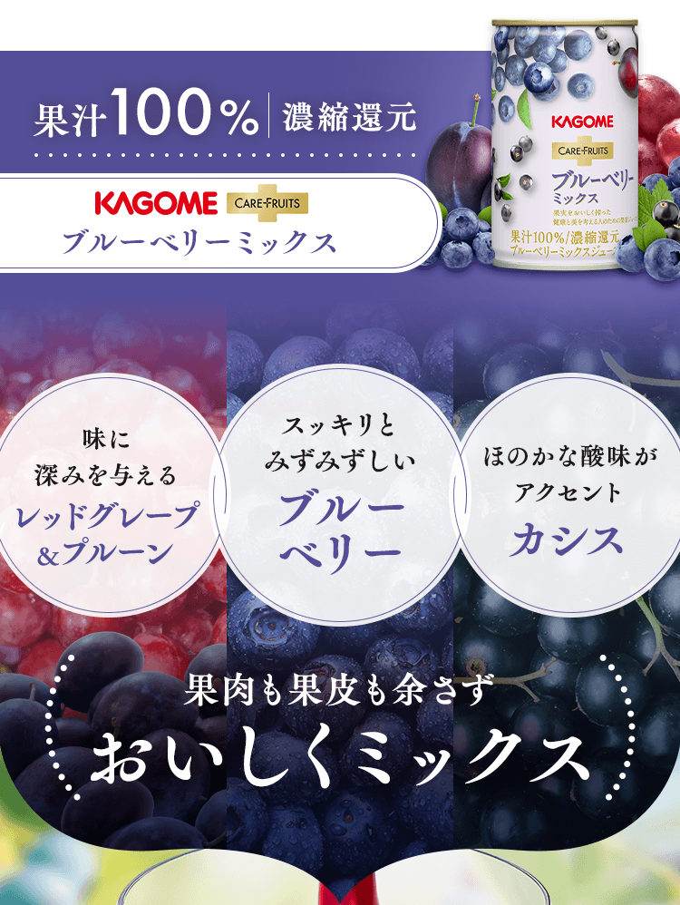 KAGOME CARE FRUITS ブルーベリーミックス