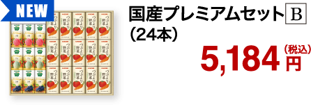 国産プレミアムセット B（24本）