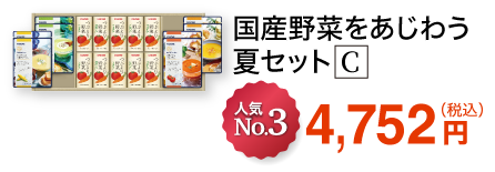 国産野菜をあじわう夏セット C