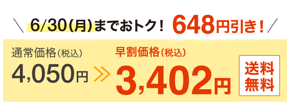 3,402円（税込） 送料無料