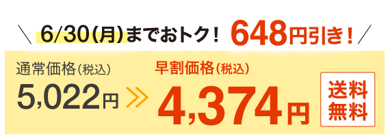 4,374円（税込） 送料無料