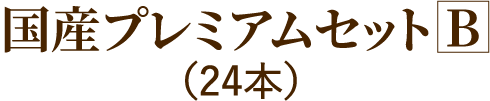 国産プレミアムセットB（24本）