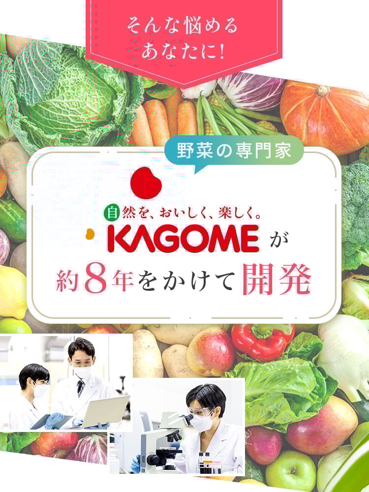 ����ȔY�߂邠�Ȃ��ɁA��؂̐���KAGOME����W�N�����ĊJ��