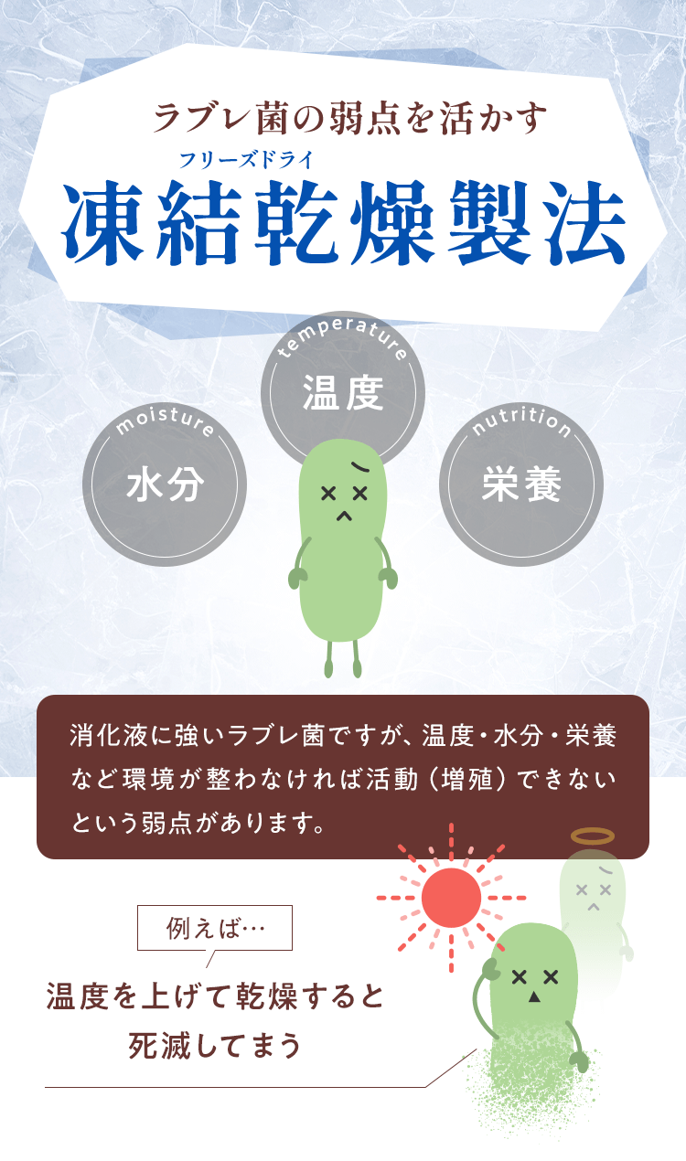 ラブレ菌の弱点を活かす凍結乾燥製法