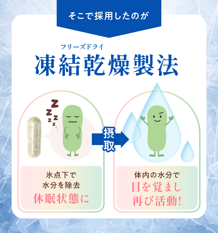 そこで採用したのがフリーズドライ製法