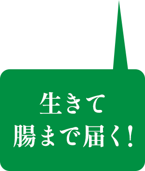 生きて腸まで届く！