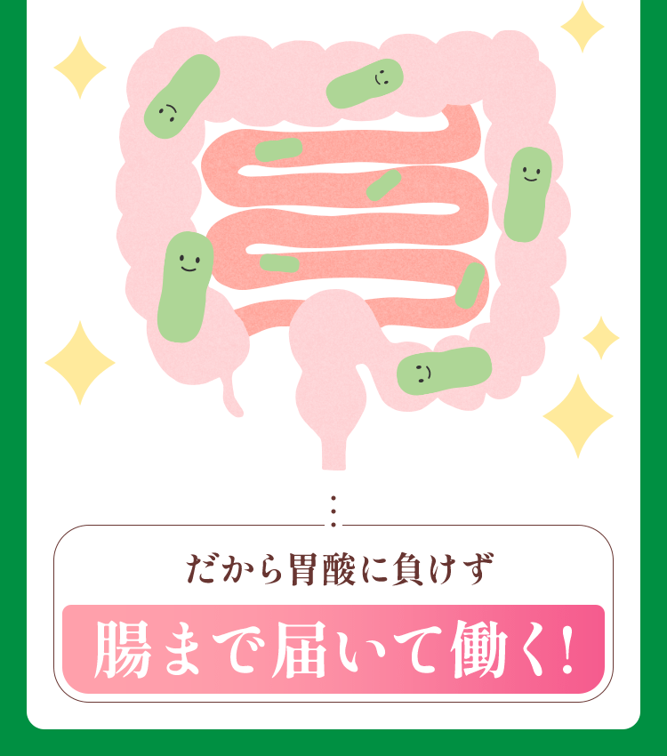 だから胃酸に負けず腸まで届いて働く