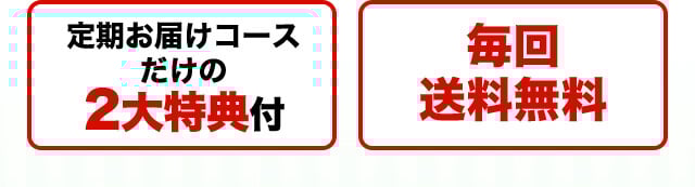 定期お届けコースだけの2大特典付 毎回送料無料