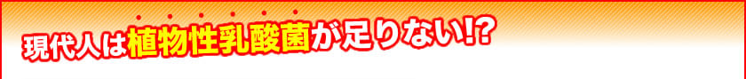 現代人は植物性乳酸菌が足りない!?
