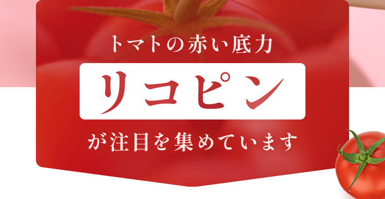 トマトの赤い底力「リコピン」が注目を集めています