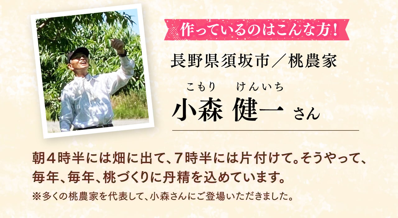 作っているのはこんな方！ 長野県須坂(すざか)市／桃農家 小森 健一(こもり けんいち)さん 朝４時半には畑に出て、７時半には片付けて。そうやって、毎年、毎年、桃づくりに丹精を込めています。 ※多くの桃農家さんを代表して、小森さんにご登場いただきました。