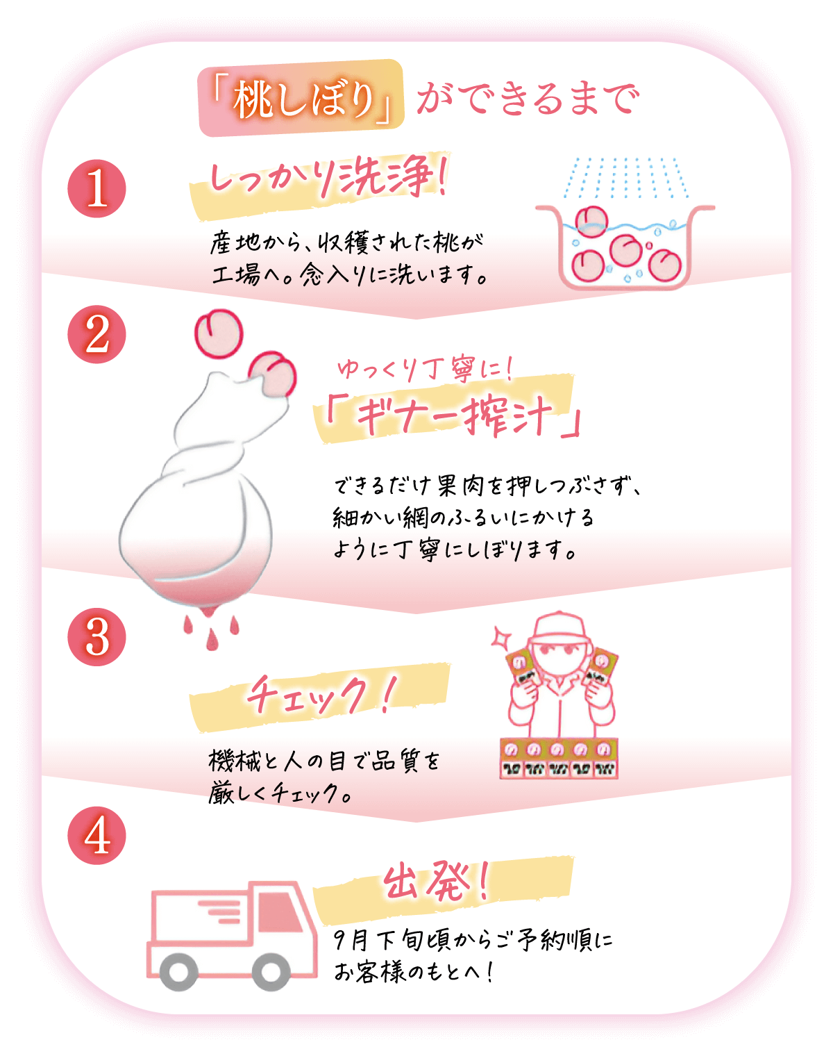 「桃しぼり」ができるまで　1.しっかり洗浄！産地から、収穫された桃が工場へ。念入りに洗います。2.ゆっくり丁寧に！「ギナー搾汁」できるだけ果肉を押しつぶさず、細かい網のふるいにかけるように丁寧にしぼります。3.チェック！機械と人の目で品質を厳しくチェック。4.出発！9月下旬頃からご予約順にお客様のもとへ！