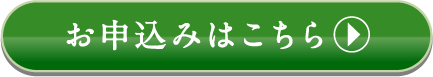 ���\���݂͂�����