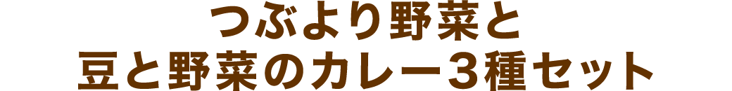 つぶより野菜と豆と野菜のカレー3種セット