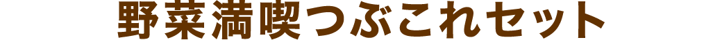 野菜満喫つぶこれセット