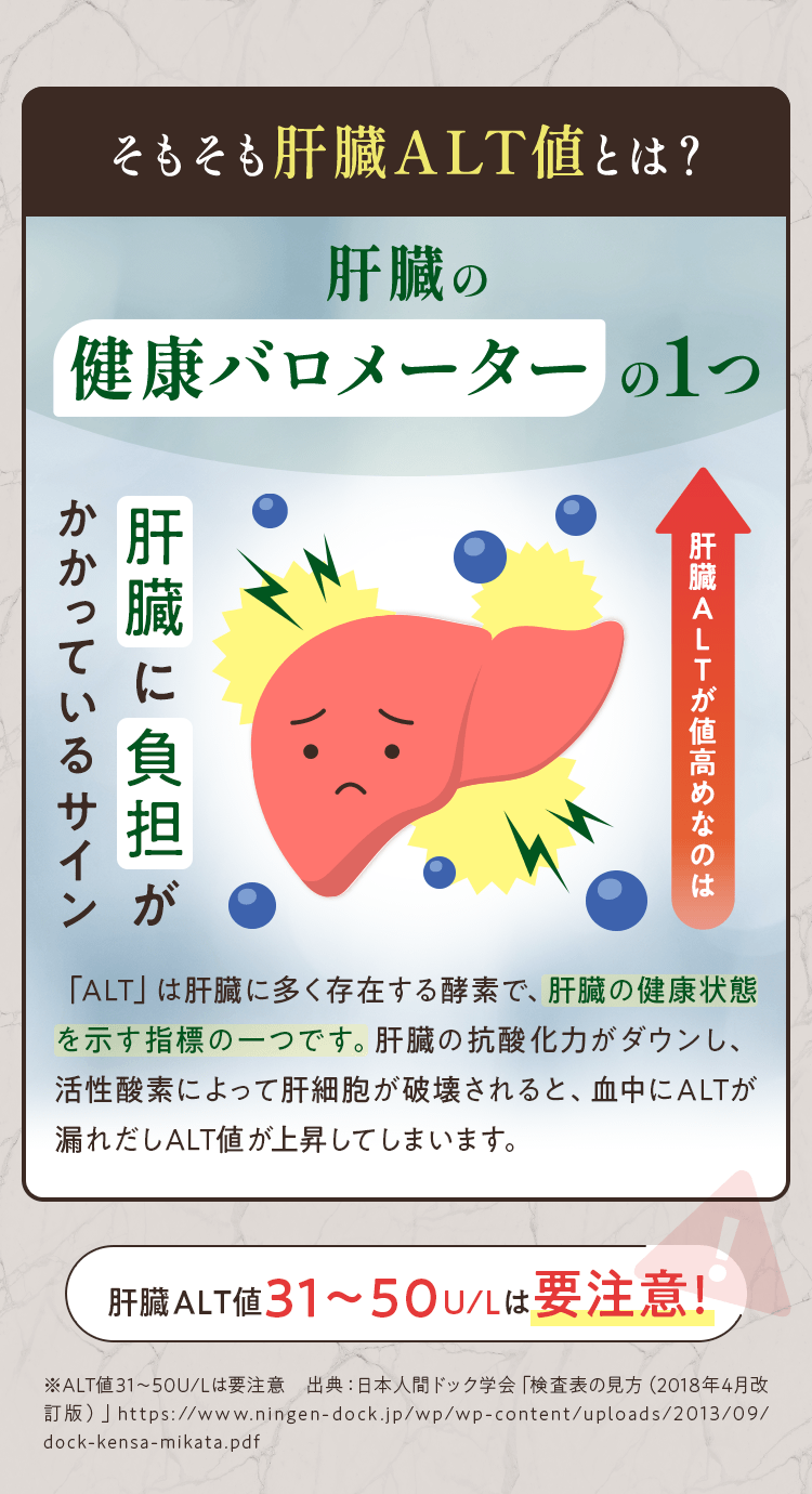 そもそも肝臓ALT値とは？