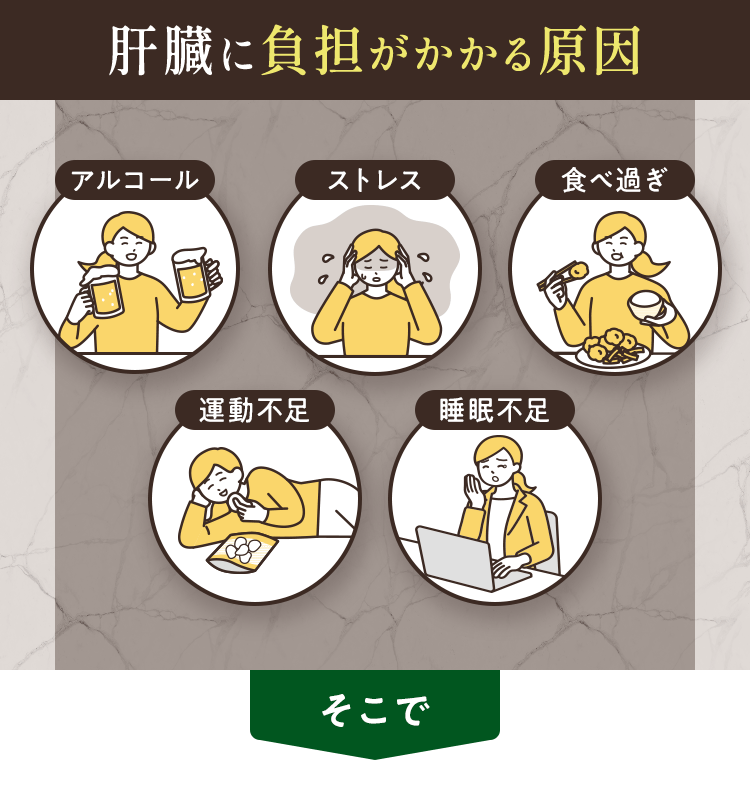 肝臓に負担がかかる原因