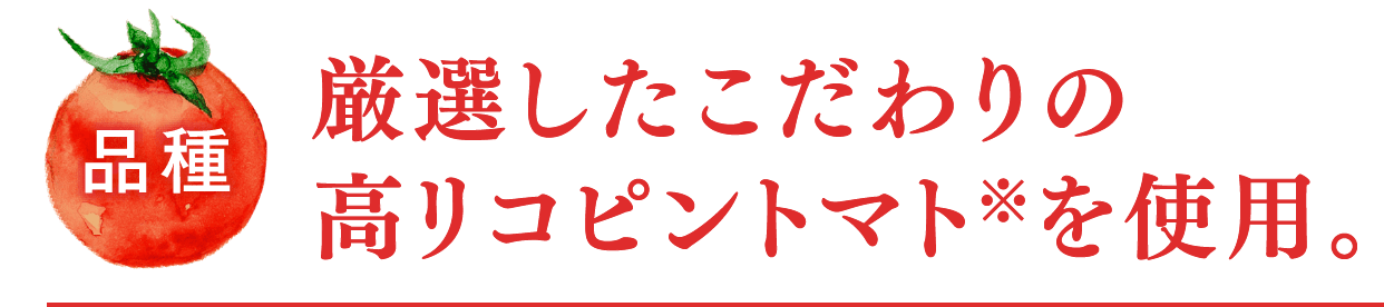 品種 厳選したこだわりの高リコピントマト※を使用。