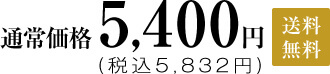 通常価格5,400円(税込5,832円)送料無料